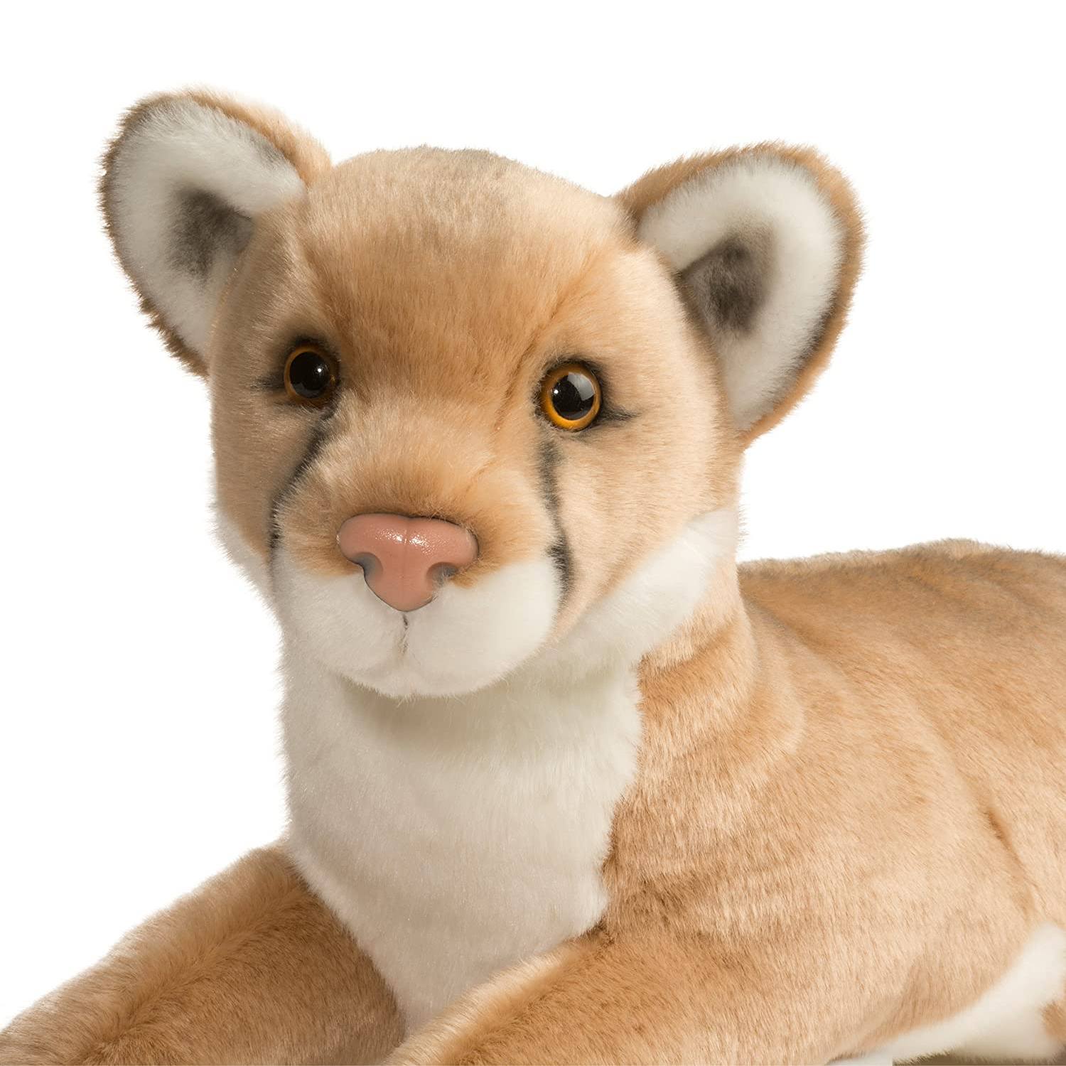 Kelso Mountain Lion