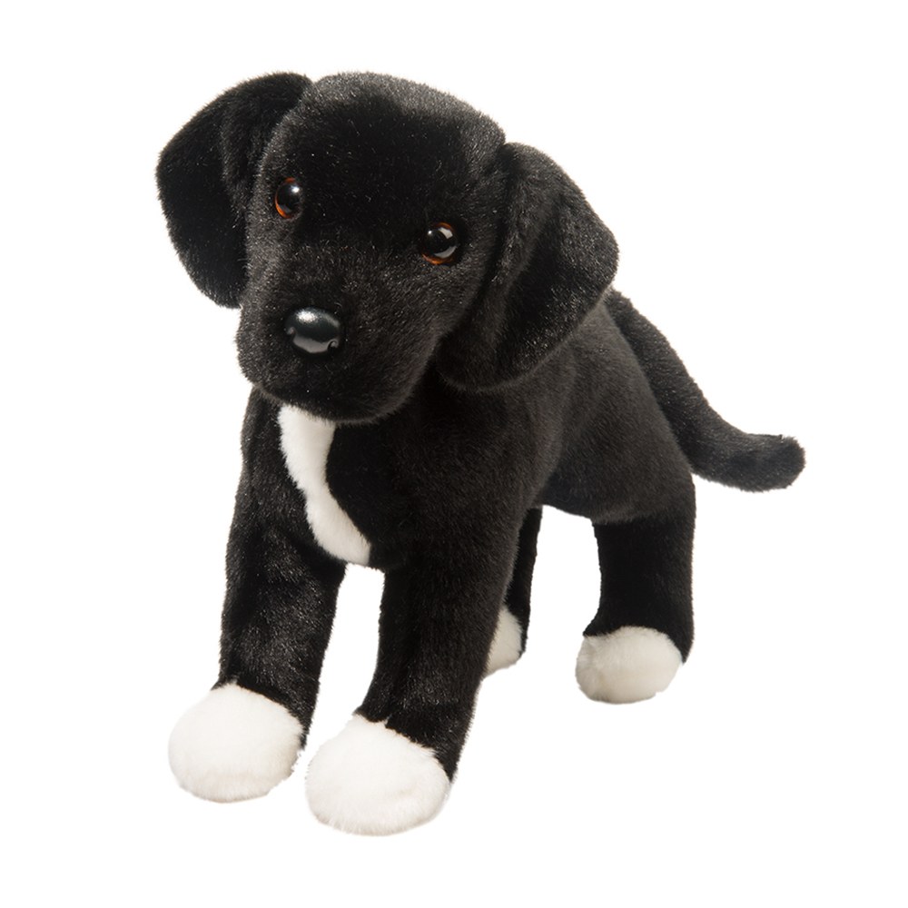 Twister Black Lab/Pit Bull Mix