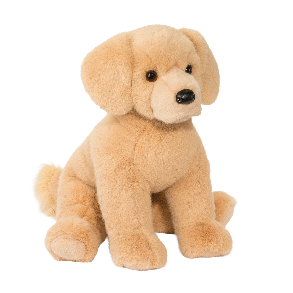 Denali Golden Retriever