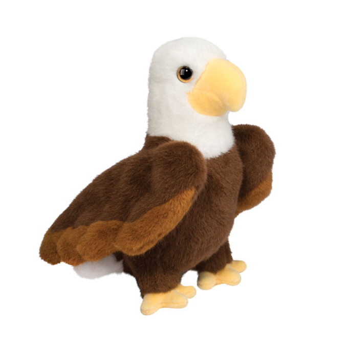 Windy Eagle