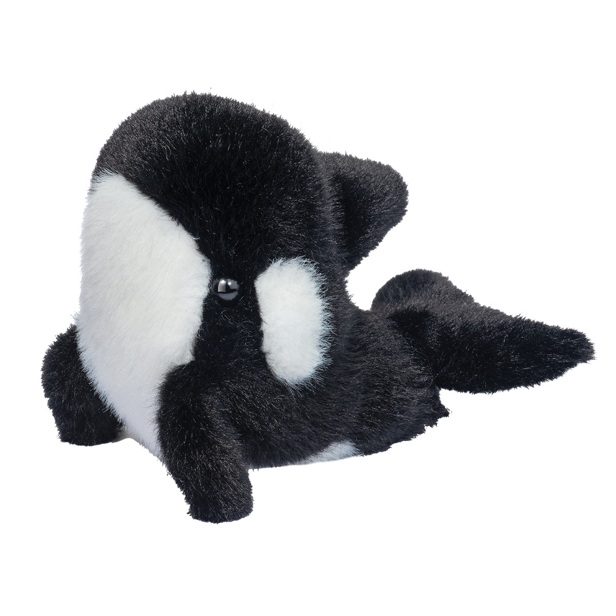 Lil’ Baby Orca Whale